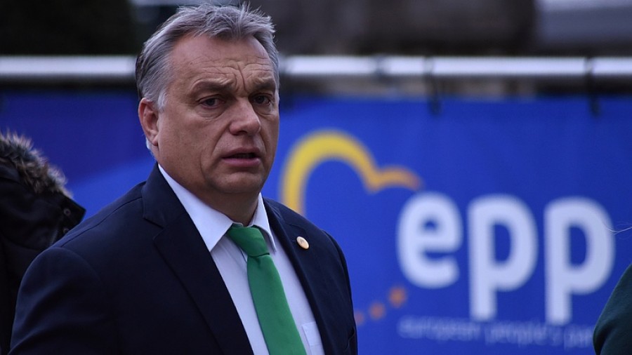 A tigris lassan a terhes nőhöz sompolyog – nézd mit reagál arra, hogy megmutatja a pocakják.... 